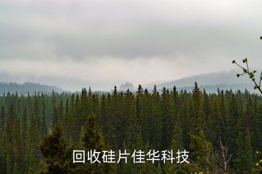 回收硅片佳华科技