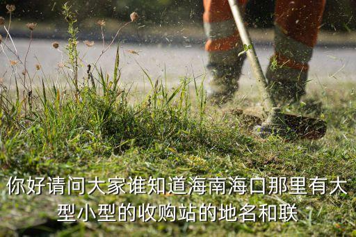 你好请问大家谁知道海南海口那里有大型小型的收购站的地名和联