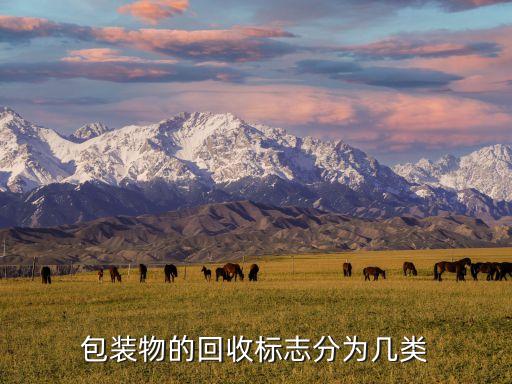 包装物的回收标志分为几类