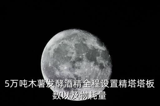 5万吨木薯发酵酒精全程设置精塔塔板数以及物耗量