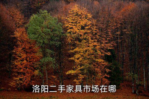洛阳二手家具市场在哪