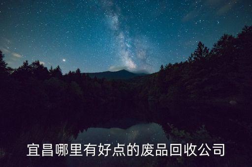宜昌哪里有好点的废品回收公司