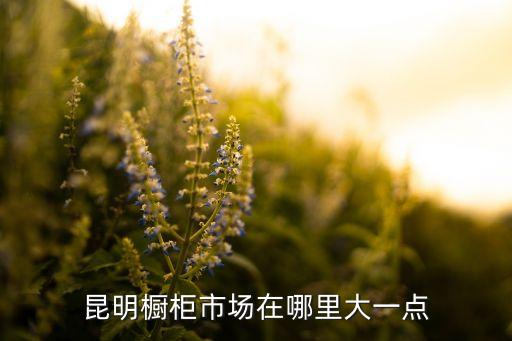 昆明橱柜市场在哪里大一点