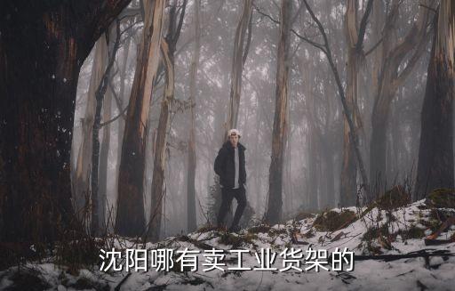 沈阳货架厂家联系方式，沈阳正大方格货架批发吗