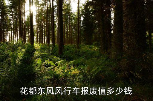 花都东风风行车报废值多少钱