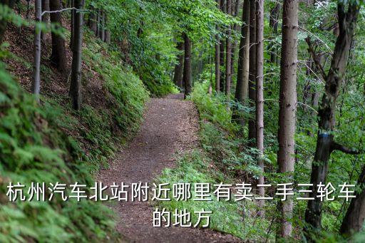 杭州汽车北站附近哪里有卖二手三轮车的地方