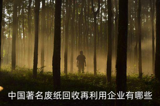 中国著名废纸回收再利用企业有哪些