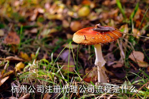 杭州公司注册代理公司流程是什么