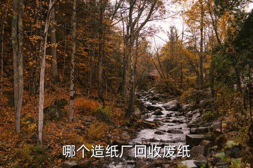哪个造纸厂回收废纸