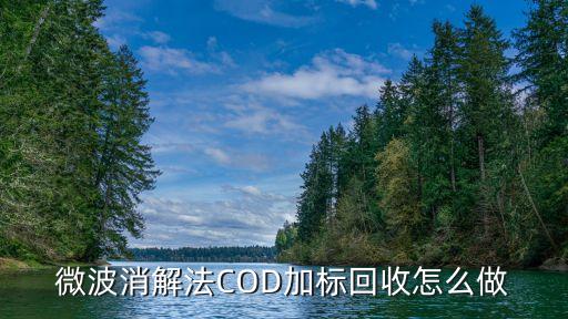 微波消解法COD加标回收怎么做