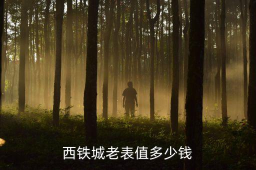 西铁城老表值多少钱