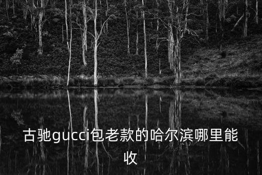 古驰gucci包老款的哈尔滨哪里能收