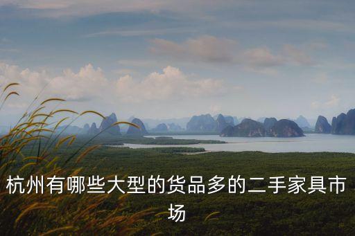 杭州有哪些大型的货品多的二手家具市场