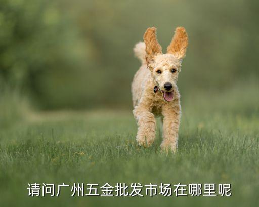 请问广州五金批发市场在哪里呢