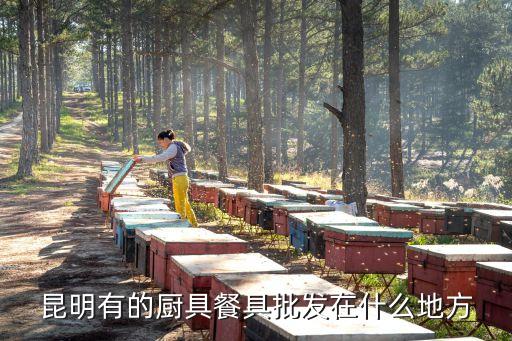 昆明有的厨具餐具批发在什么地方