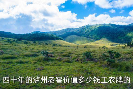 四十年的泸州老窖价值多少钱工农牌的