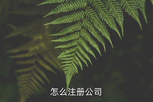 个人如何注册公司，怎么注册公司