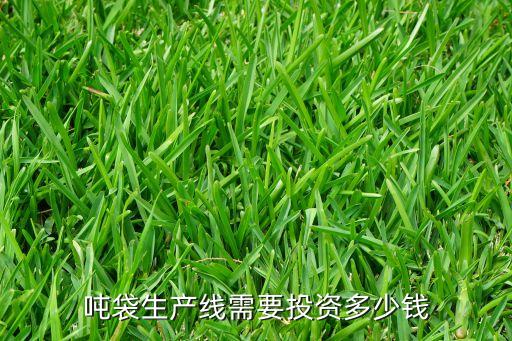 吨袋生产线需要投资多少钱
