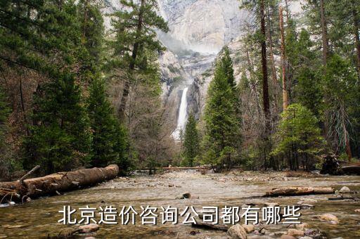 北京造价咨询公司都有哪些