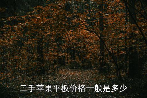 二手苹果平板价格一般是多少