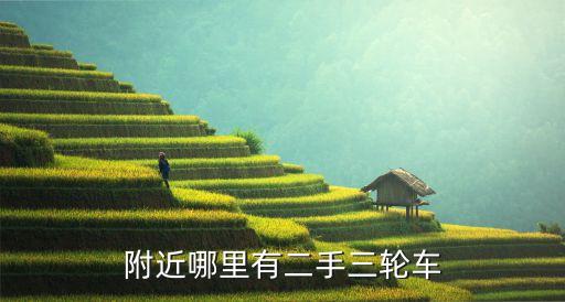 附近的收旧的三轮车，现在哪里有卖二手电动三轮车或者卖三轮车的地方 谢谢