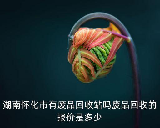 湖南怀化市有废品回收站吗废品回收的报价是多少