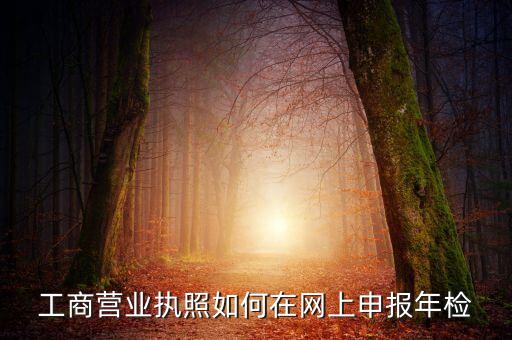 工商营业执照如何在网上申报年检