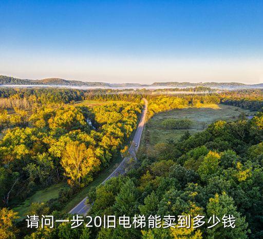 请问一步20旧电梯能卖到多少钱