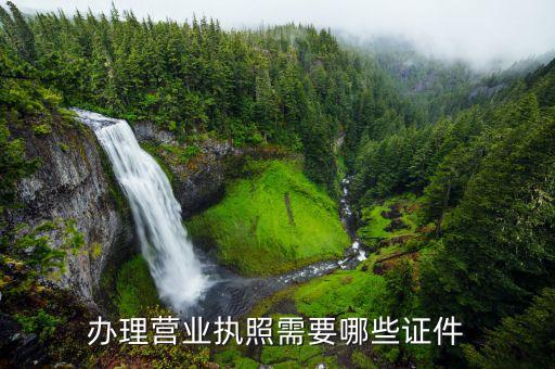 申办营业执照所需材料，办营业执照需要哪些材料