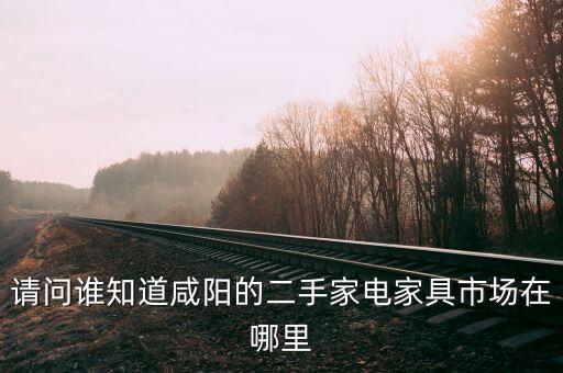 请问谁知道咸阳的二手家电家具市场在哪里