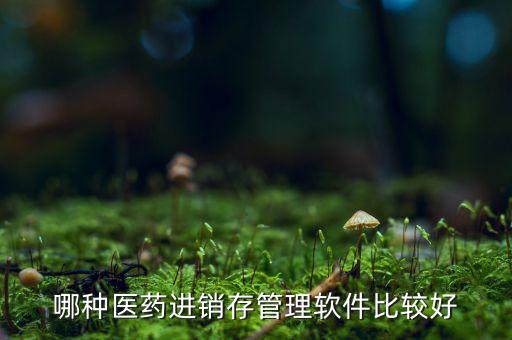 哪种医药进销存管理软件比较好