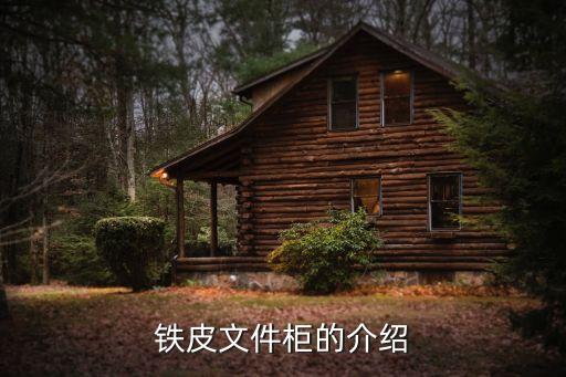 铁皮文件柜的介绍