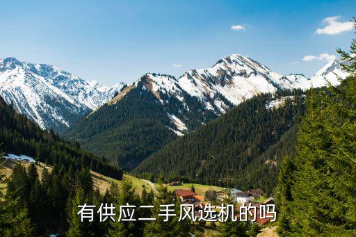 简易风选机，有供应二手风选机的吗