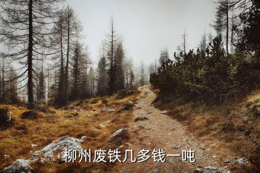 柳州废铁几多钱一吨