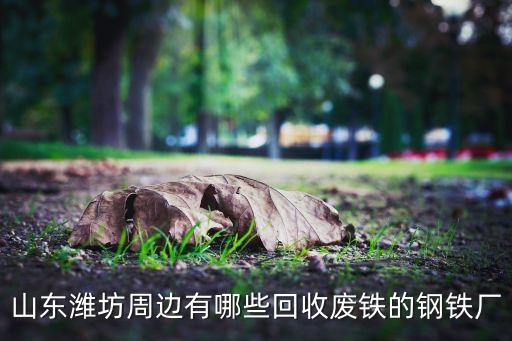 山东潍坊周边有哪些回收废铁的钢铁厂