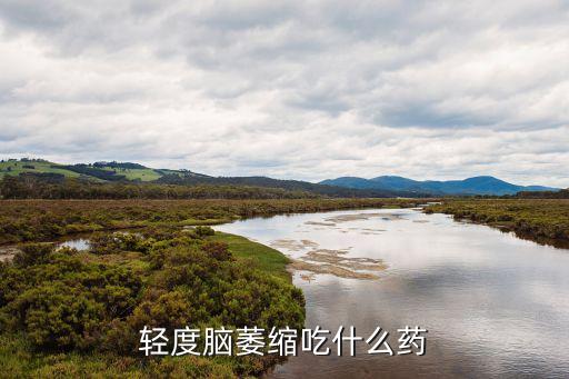 轻度脑萎缩吃什么药