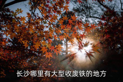长沙哪里有大型收废铁的地方