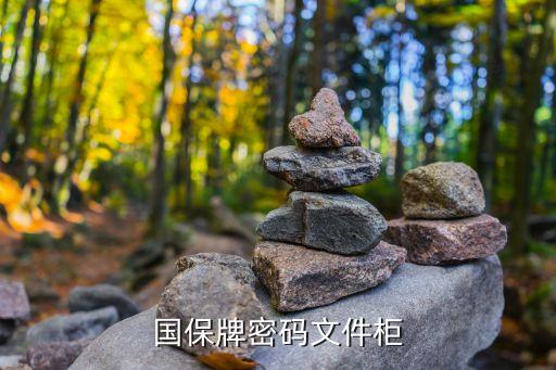 国保牌密码文件柜