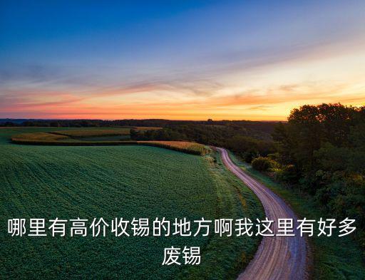 废锡哪里有回收，我公司有许多有铅锡渣等废锡请问哪里有废锡收购公司呀