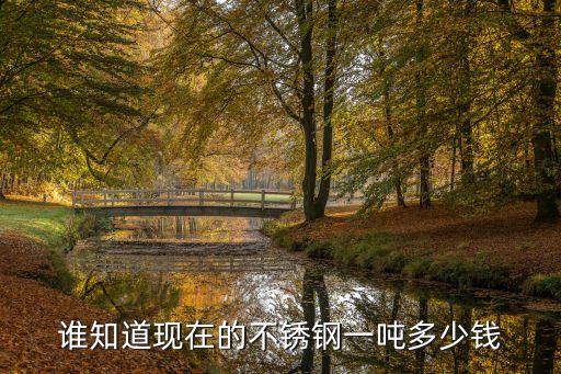 谁知道现在的不锈钢一吨多少钱