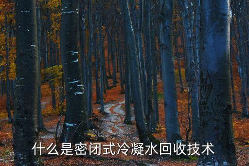 什么是密闭式冷凝水回收技术