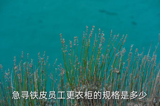 急寻铁皮员工更衣柜的规格是多少