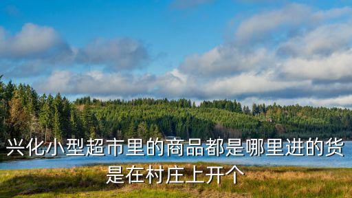 兴化小型超市里的商品都是哪里进的货是在村庄上开个