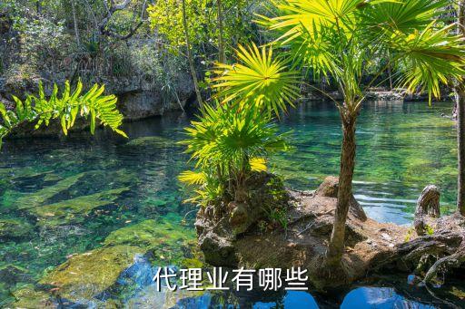 代理业有哪些