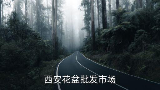西安花盆批发市场