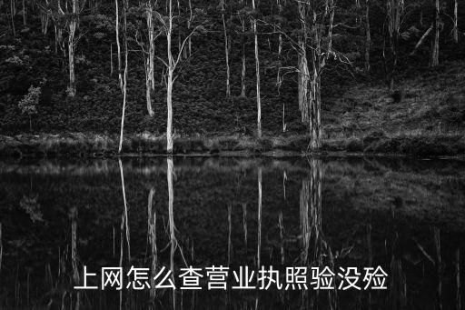 用手机怎么审核营业执照，上网怎么查营业执照验没殓