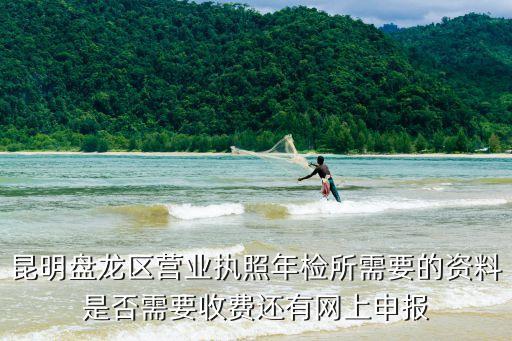 昆明盘龙区营业执照年检所需要的资料是否需要收费还有网上申报