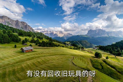有没有回收旧玩具的呀