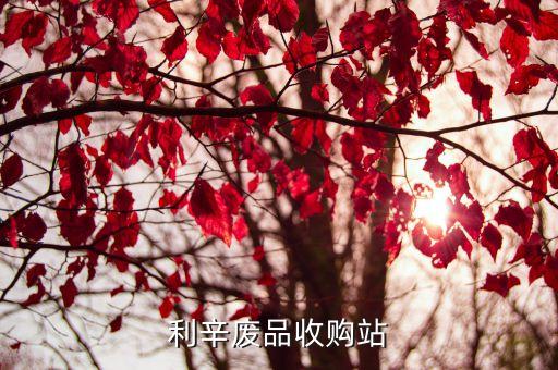 利辛废品收购站