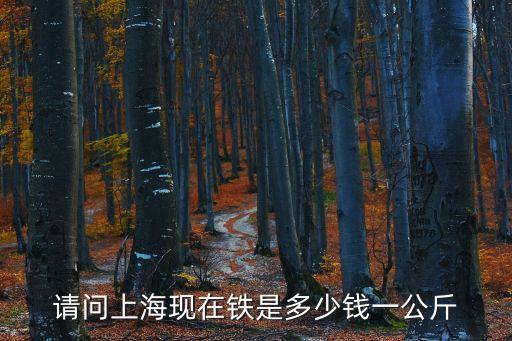 上海废铁价格多少钱一吨现在，上海废铁多少钱一吨准确点的